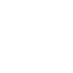 Department Transportation - TerraDAC Technologies