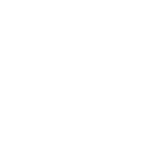 QU - TerraDAC Technologies